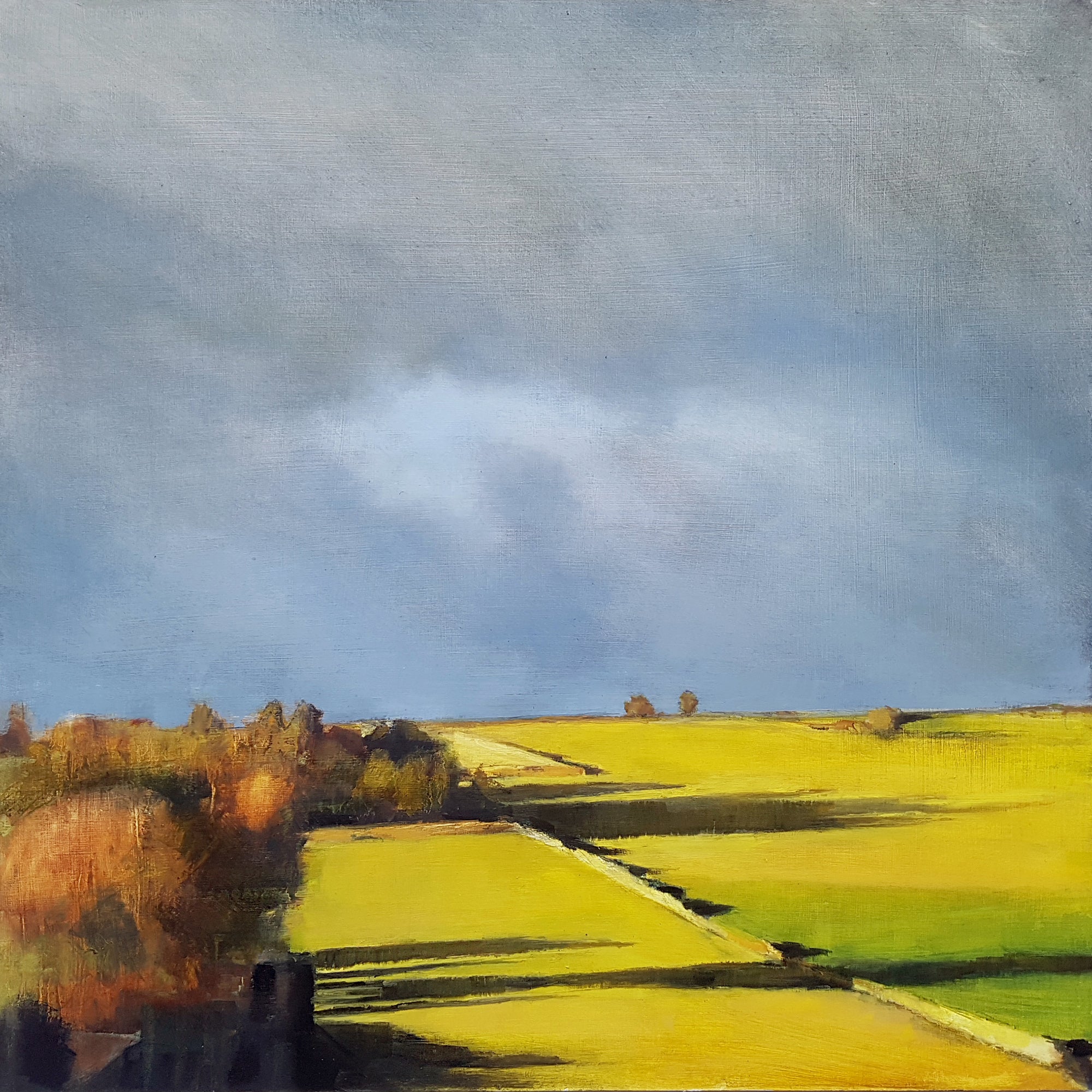 Early Sunshine Across the Fields