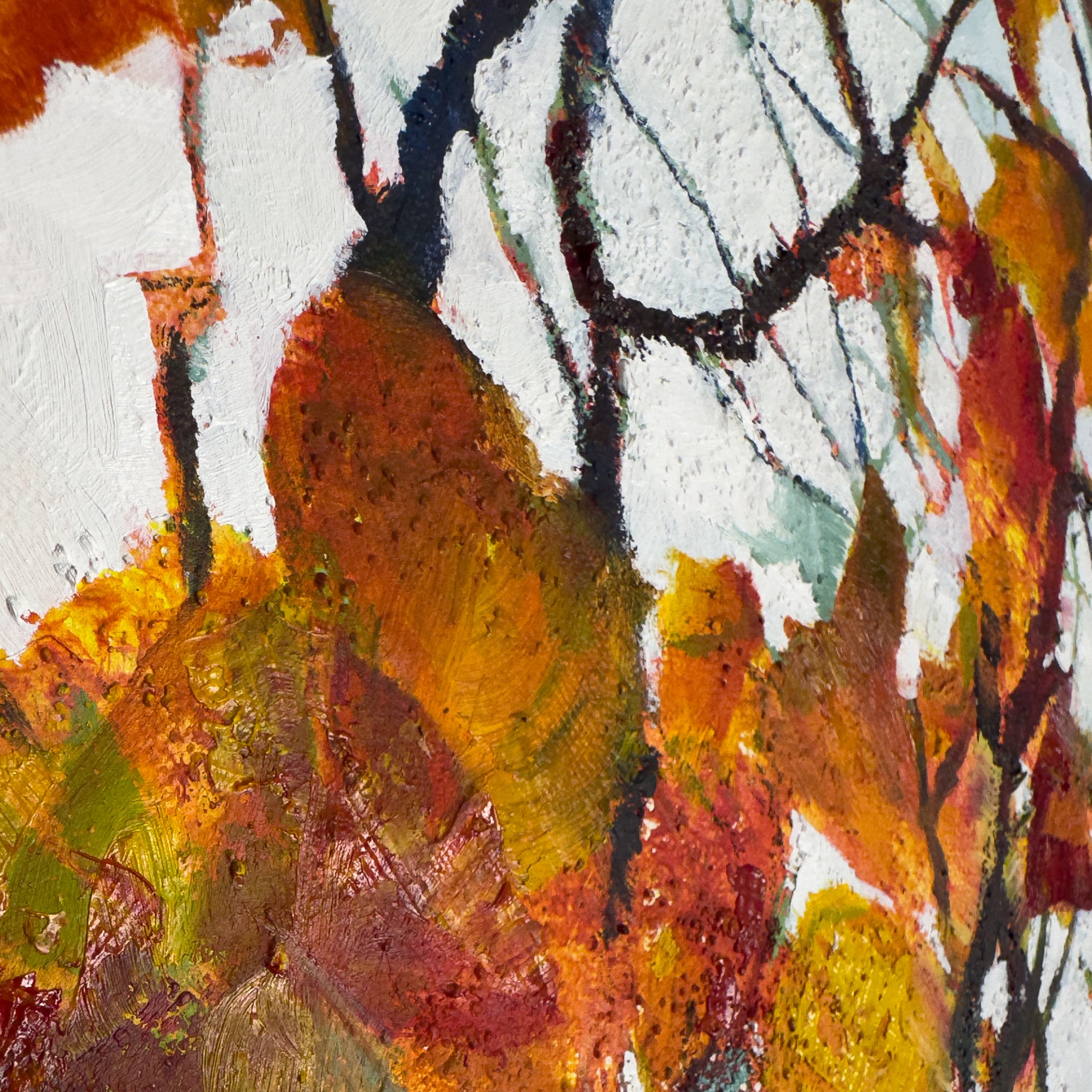 Into the Glow of Autumn