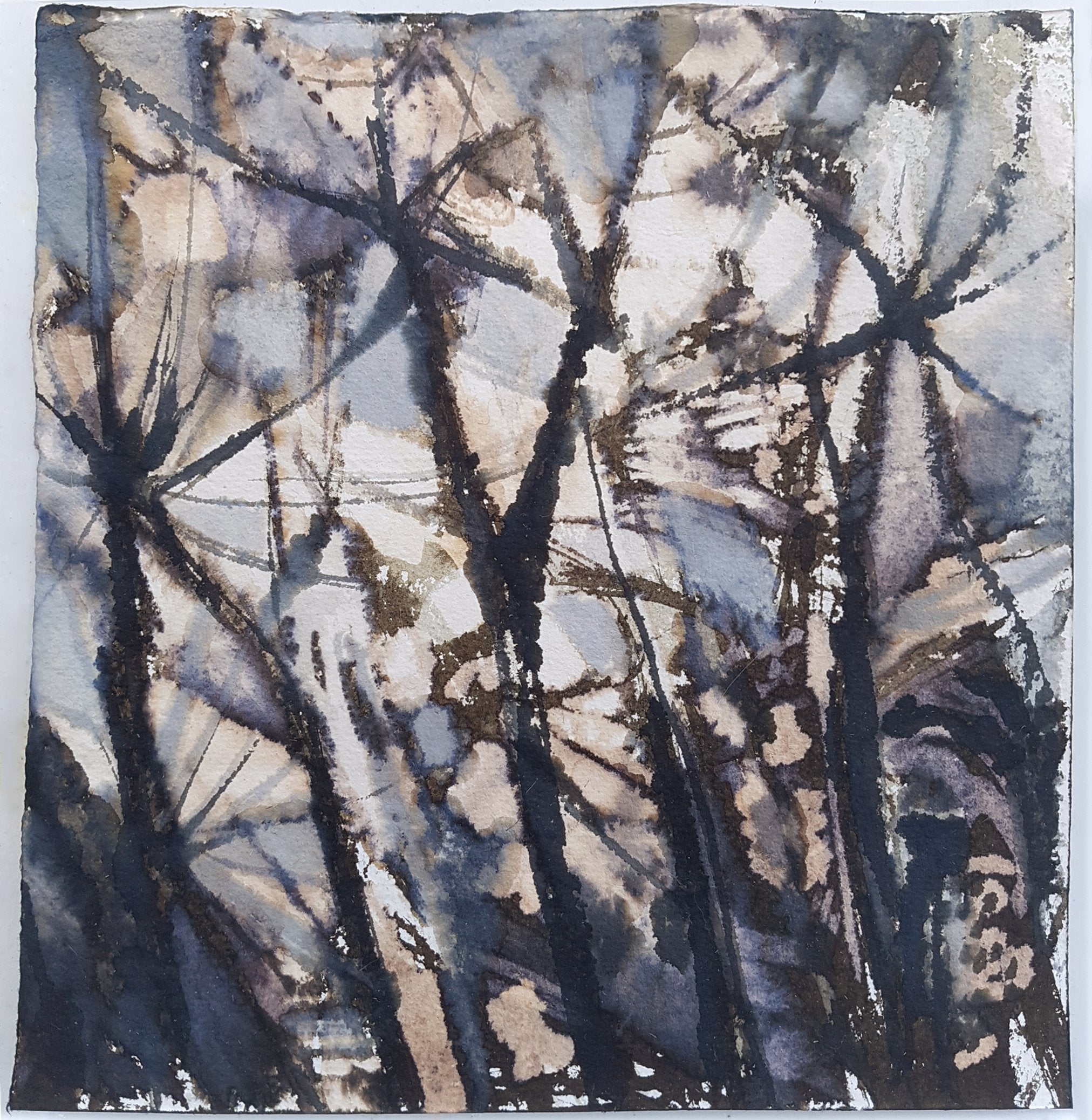 an ink painting showing abstract seed heads with light filtering through