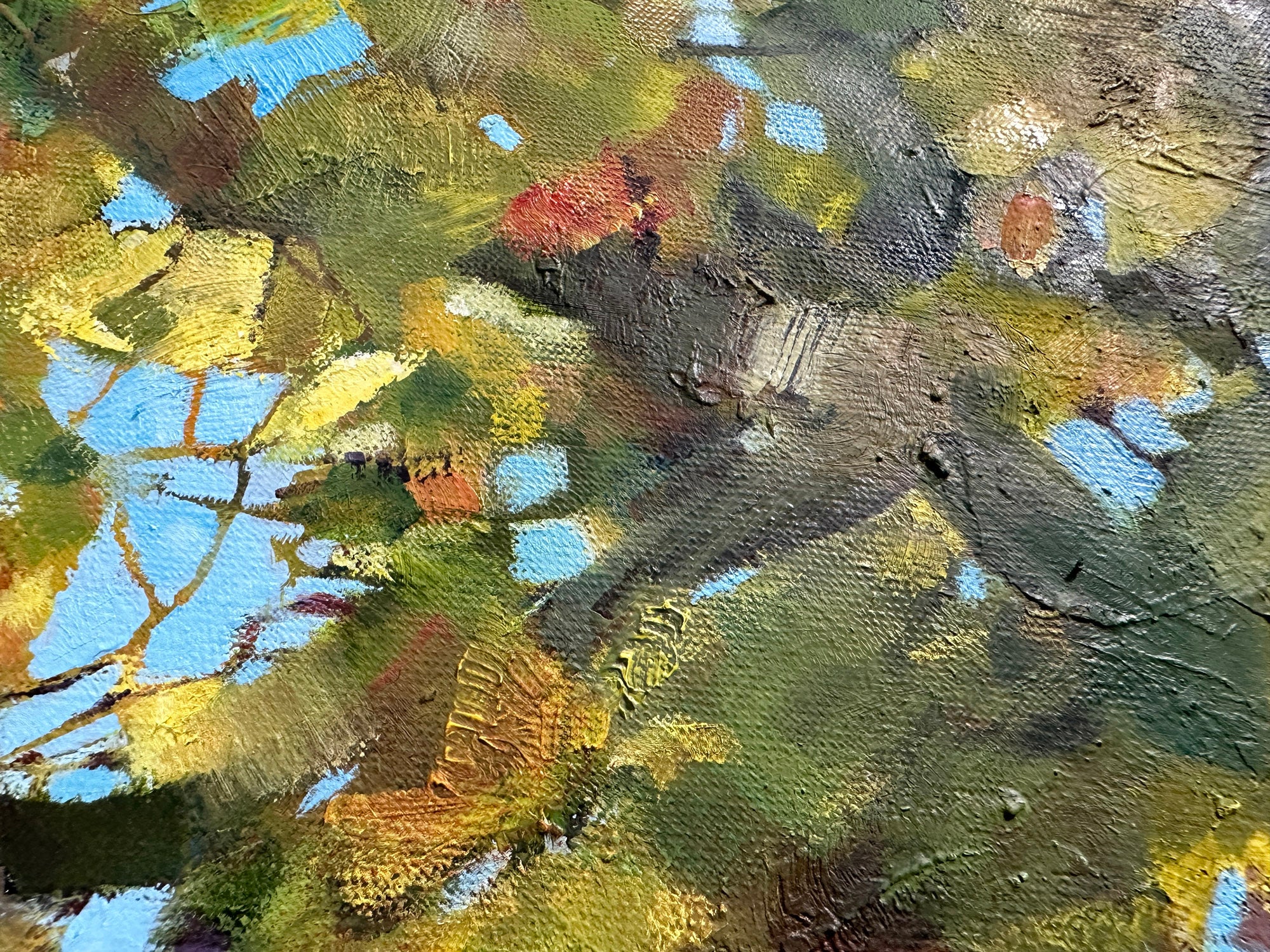 Maple, 8am, October Morning