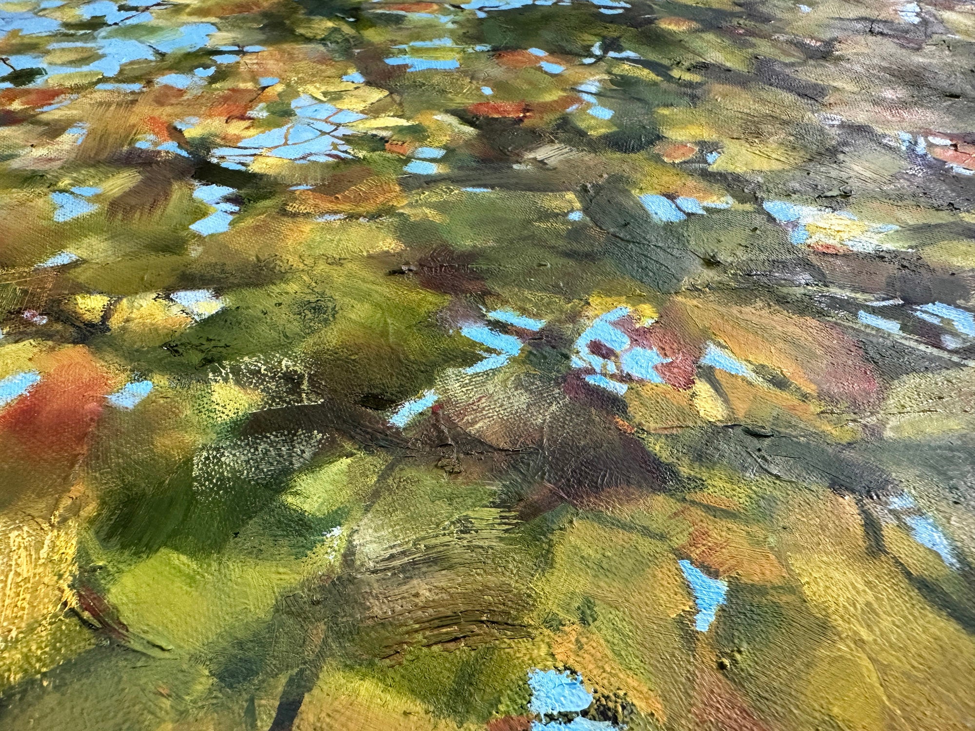 Maple, 8am, October Morning