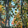 A painting of sunlight through leaves and tree trunks