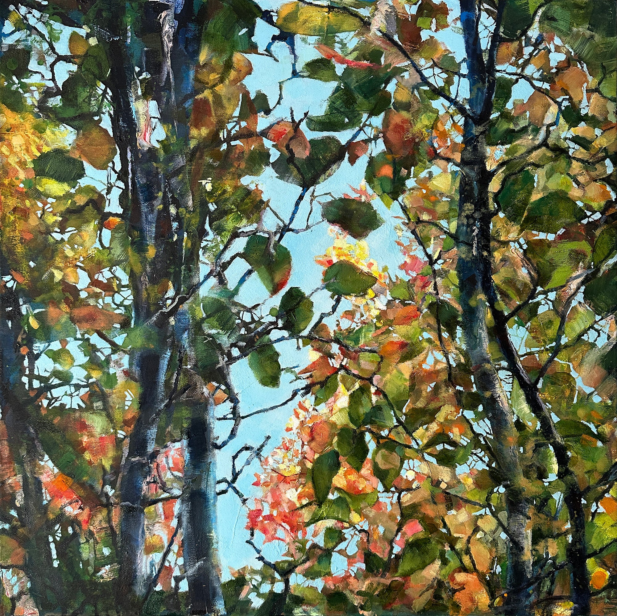 A painting of sunlight through leaves and tree trunks