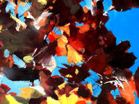 The Moment That You Want is Coming