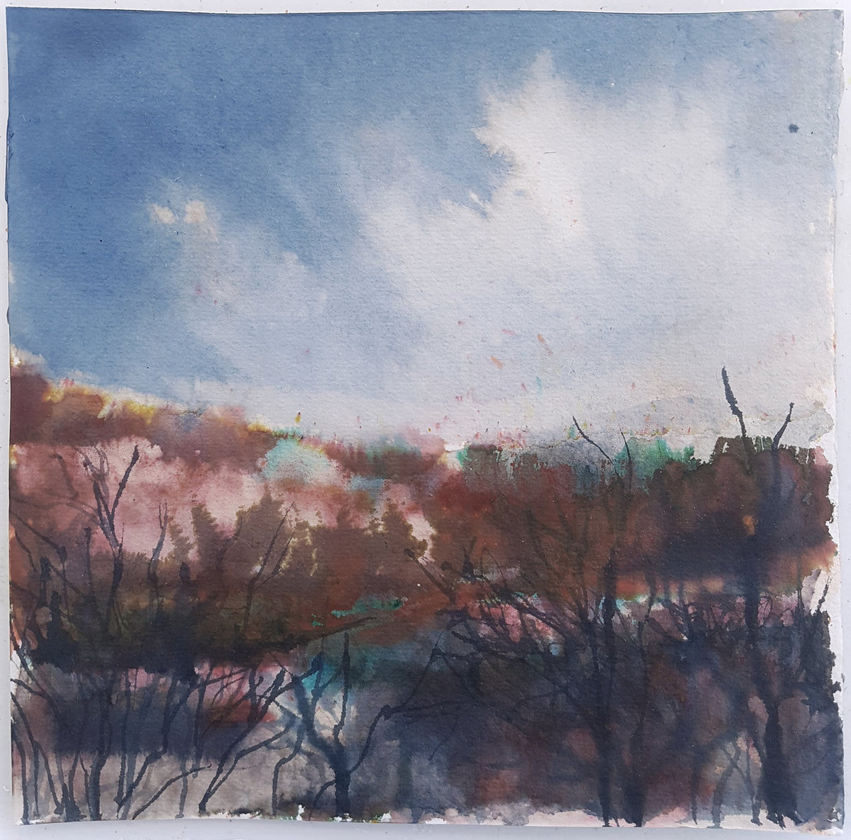 Ink #5 - View North, Autumn
