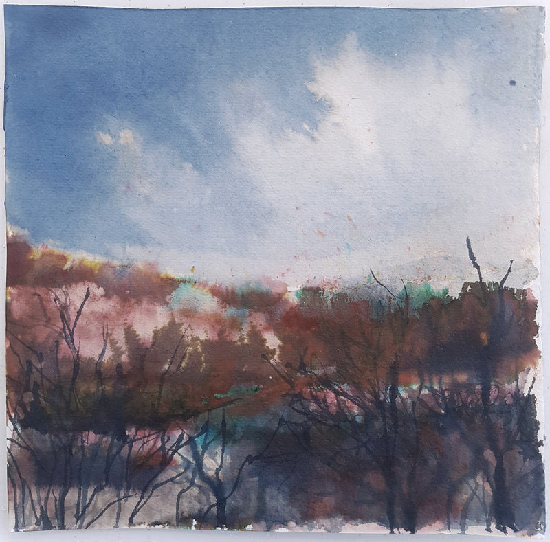 Ink #5 - View North, Autumn