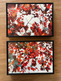 Shapes of Light Through Autumn Maple