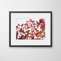 Framed semi-abstract print of red maple leaves with layers of light and shadow on a grey autumn day by Julia Brown