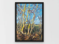 Lichen Covered Trees