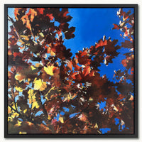 Statement uplifting framed abstract landscape painting with layered sunlight and blue sky through red autumn leaves, original oil on canvas by UK artist Julia Brown