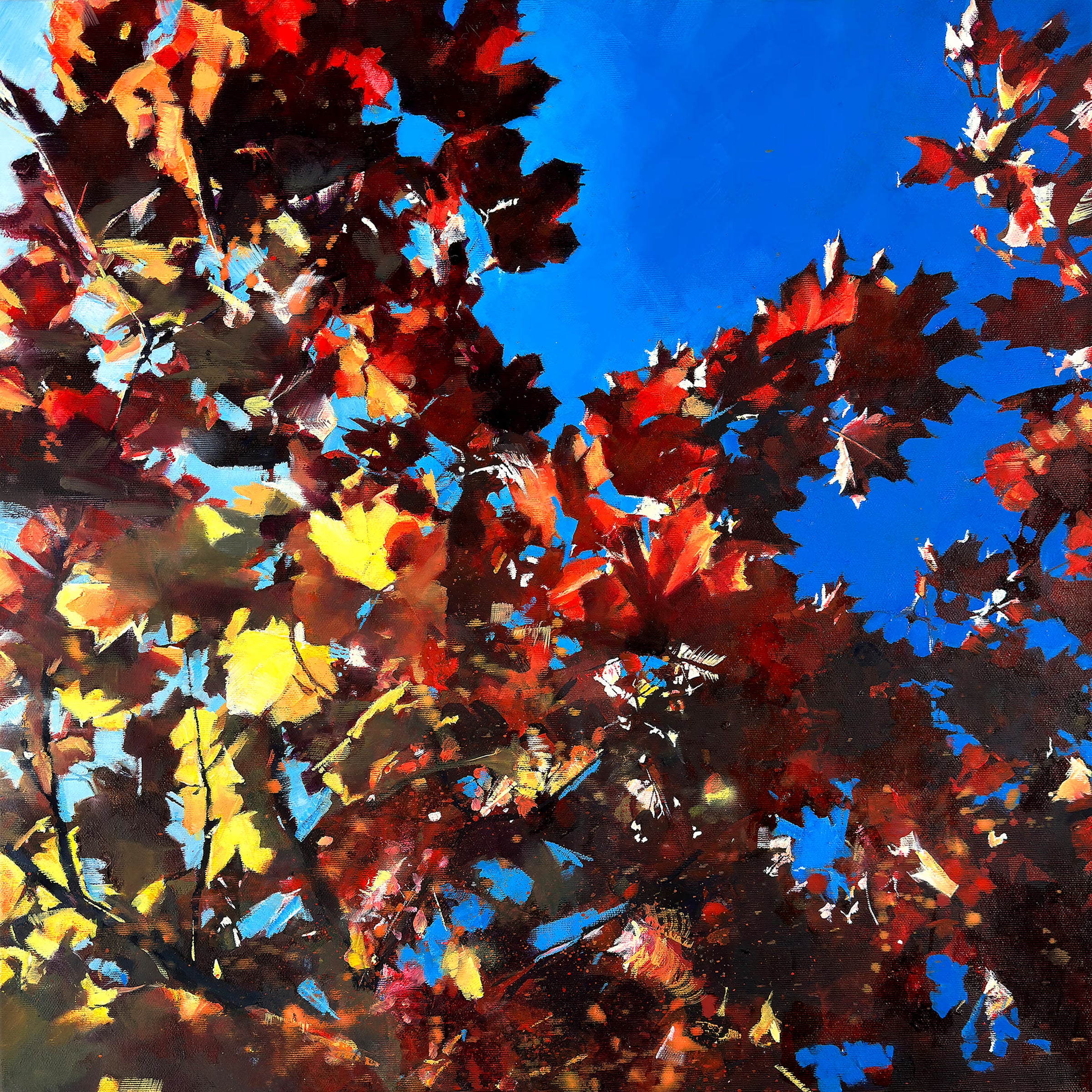 Statement uplifting abstract landscape painting with layered sunlight and blue sky through red autumn leaves, original oil on canvas by UK artist Julia Brown