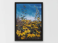 Yellow Rudbeckia, September